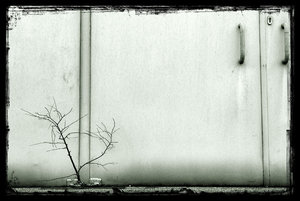 Life - It was coming.