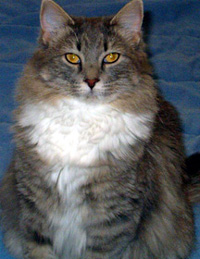 Shasta sitting pretty - shasta