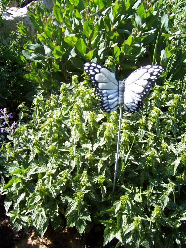 Butterfly photo from our garden - This photo was taken of a butterfly ornament in our rural country garden in Southwestern Manitoba