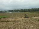 Harvest time - harvest tome for the rice field in Bali