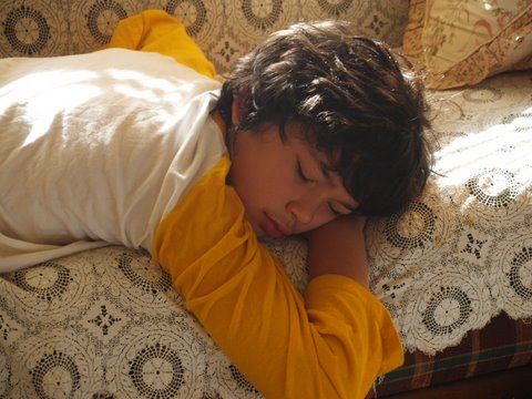 Jacob After A Trip To The Zoo - 'No mom, I'm not tired!' This was taken after a day trip to the Phoenix Zoo. Aren't they beautiful when they sleep.