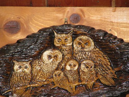 Owl wood carving - I love owls this wood carving hangs in our great room and I took the photo with my new Cannon camera on the macro mode.