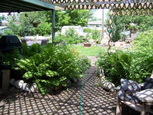 Our garden - David and I worked together to co-create this backyard space. It is our outdoor living room all summer long.