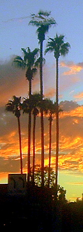 An Arizona Sunset In December - Arizona has some of the most incredible sunsets I have seen over the entirety of my life. Here is a picture of a sunset last December.