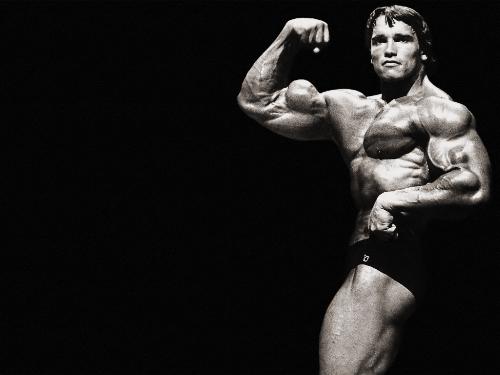 Health - Arnold in his bodybuilding days