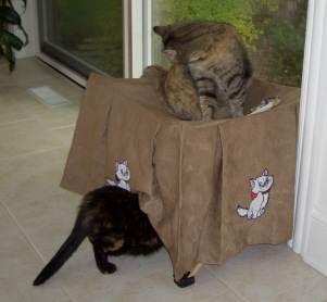 Hide and seek - I always climb on the back of the door and stand.