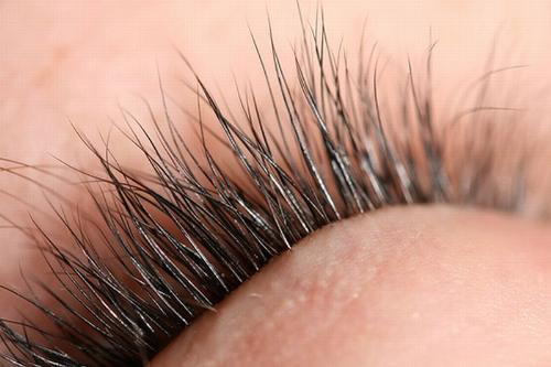 Eye Lashes - Just a pic of a closed eye with eye lashes... Eye Lashes - Just a pic of a closed eye with eye lashes...