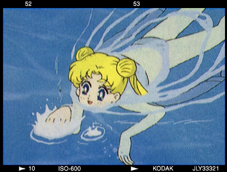 Usagi - Usagi swimming