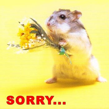 Sorry - sorry