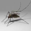 mosquito - precise mosquito