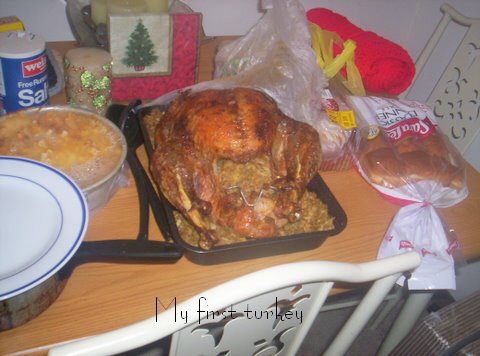 My 1st Turkey - Here is a pic of my first Turkey. It was so delicious.