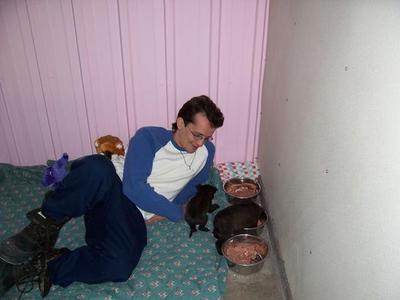 Jason at the shelter - This pic was taken at Strayhearts animal shelter in Taos New Mexico