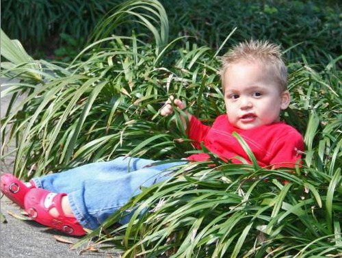 My grandson  - I would like to enter photos in a photo contest that does not cost money to join or they try to sale you things I just know some of the photos I have would win something they are so cute.