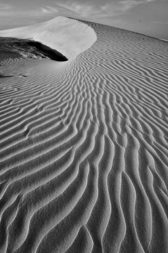 Desert - A colourful state. Place of Deserts, Forts and Palaces