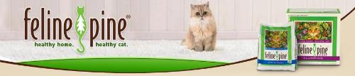 Fantastic offers! - feline pine