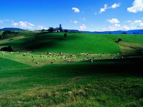 nature - do u like it?