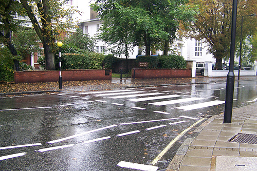 Will you help an old lady cross the road? - A picture of a road in a neighborhood. Photo source: http://farm3.static.flickr.com/2138/1586433803_8ad5a1ab63.jpg?v=0 .
