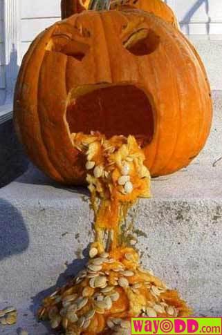 Sick Pumpkin - What I feel like doing, thanks to nausea.