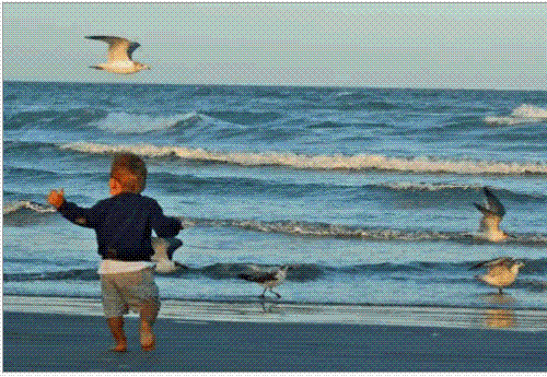 My grandson a snap shot so beautiful  - This is a moment of beautiy that will be a forever memory the ocean in Florida and my sweet little grandchild Kyle.