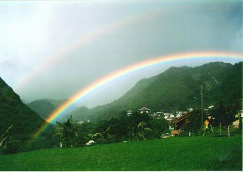 Rainbow - Seven alright?