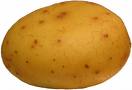 potato - A raw potato