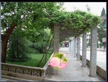 hehe - my school