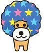 dog - disco dog