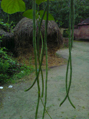 sagging - a different kind of bueaty