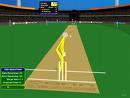 cricket - 50*50