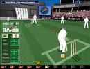 cricket - 50*50