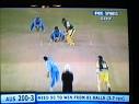 cricket - 50*50