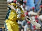 cricket - 50*50