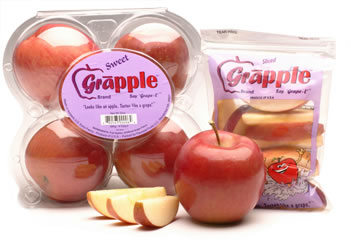 apples - grapple apple