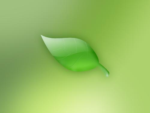 16 - 16 image
