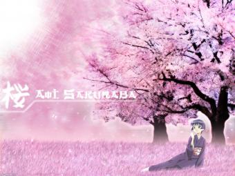 aaa  - aaa image
