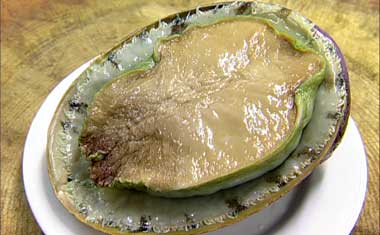 Abalone - This is a picture of an Abalone. It is a seafood delicacy. The polished shell is often use in jewellery.