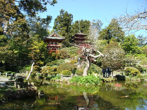 Japanese Tea Garden in San Francisco - This was taken in April &#039;07 at the Japanese Tea Garden in San Francisco which is located inside of the Golden Gate Park. It was just beautiful there & I highly recommend visiting if you are ever in the area. The flowers & other foliage are just amazing!