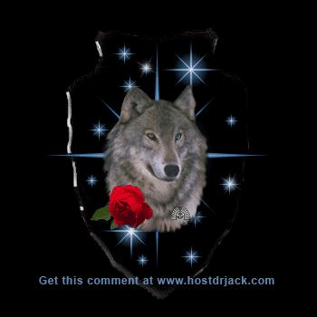 wolf - a pretty picture of a wolf and a red rose.