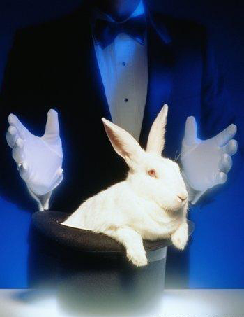 magic - a picture of magic with rabbit
