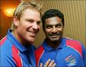 cricket - 50*50