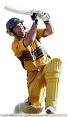 cricket - 50*50