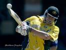 cricket - 50*50