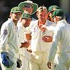 cricket - 50*50