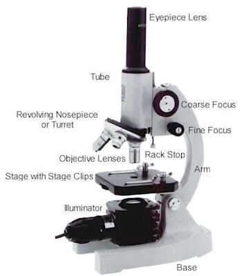 microscope - picture and description of a microscope
