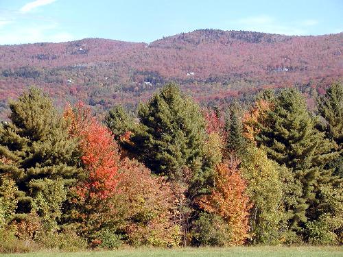 Autumn trees in the Mad River Valley - Mad River Valley is a very stunning place to visit between September and October. The sky is crystal blue and the trees are all of warm hue.