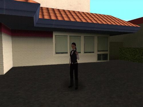 screenshot - a screen shot while on a mission