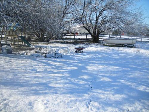 Texas Snow in March of 2008 - Here's a quick pic of part of our backyard where the snow was!!