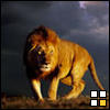 Avatar for Soccerdad123 at the Free Lunch Room - This is the avatar I use for my user name at the Free Lunch Room (www.freelunchroom.com) to engage in freesites at that forum.  One can learn more about earning $ part-time at freesites at http://freesites2.thesoccer.com.