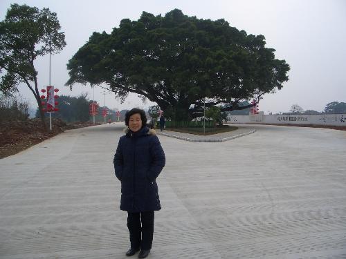 the beautiful curvatures of the huge tree - this huge tree is about three hundred years old. I love this beautiful curvatures of its branches spreading around. This is my mother-in-law you can see in the picture, like my own mom. I love her as much as my own.