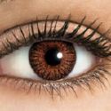 brown eye - brown